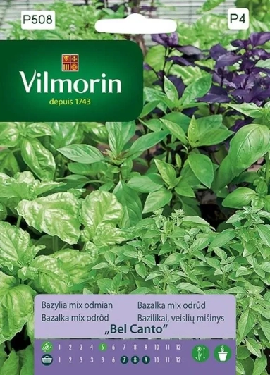 Vilmorin Bazylia mix odmian Bel Canto nasiona 5 sklep rajogrodnika